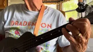 Fields of Gold - Sting