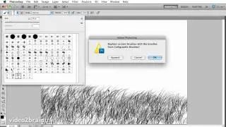 Using brushes in Photoshop CS5