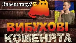 ГРА ВИБУХОВІ КОШЕНЯТА!!! НАСТІЛЬНА ГРА!!! ПРАВИЛА ГРИ! НОВА ГРА! ОГЛЯД ГРИ!