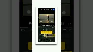 vn video editor keyframe effect in video