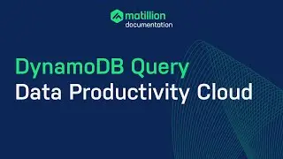 Matillion Data Productivity Cloud | How to Connect to DynamoDB Data