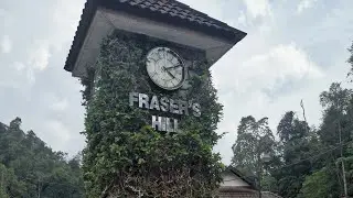 福隆港之旅 Part 2｜新古毛｜allan's water ｜the paddock ｜Fraser Edible Garden｜新南昌海南鸡扒｜升云西果店｜观音阁｜Fraser Hill Trip