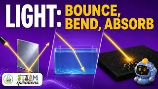 How is Light Absorbed, Reflected and Refracted | 
