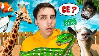TU CE ANIMAL ESTI ?