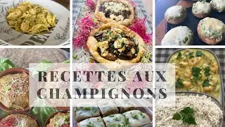 Compilation de recettes délicieuses aux champignons 🍄