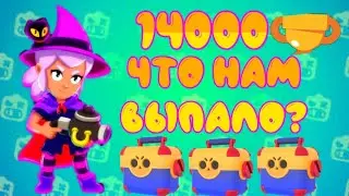 АПНУЛ 14000 КУБКОВ!!!