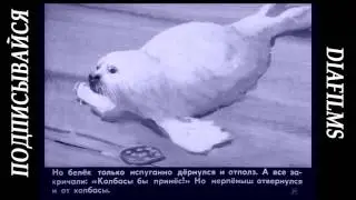 Рассказ Гость В Коржиков (озвученный диафильм)