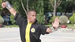 technique kung fu  giao long vo dao vo cotruyen vietnam