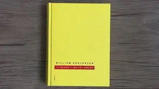 WILLIAM EGGLESTON   From Black and White to Color