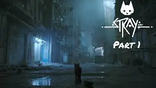 So... I'm A Cat Now in Stray -PART 1-