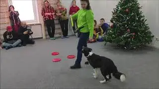 Рождественская Ёлка 2019 🎄