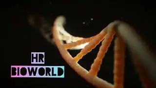 HR BIOWORLD