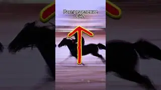 Руна Треба - установление своих правил, требований #славянские #руны #треба