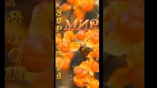 С добрым, сентябрьским утром! 🌺🌸🌺🌸🌺🌸