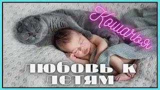 Кошки 😾 защищают маленьких детей!