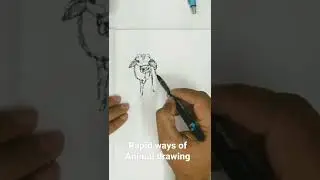 Shivnandi bull /animal drawing 