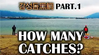 감성돔 100마리 잡기에 도전!! 전편 해변에서 ~상온네리에로 감성돔 연타~ ／ 前所未聞挑戰100條黑鯛 -海灘編- 常溫煉餌爆釣黑鯛