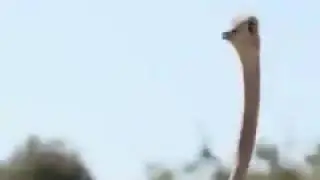NATİONAL GEOGRAPHİC'de ÖĞLE MOLASI..