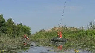 СКИНУЛИ ВОДУ І ВЕСЬ КРУПНЯК ВИЙШОВ З БОЛОТА. Рибалка на боковий кивок