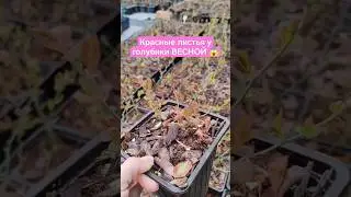 10/04/24 Ставрополь