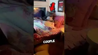This Couple Built the Perfect FAMILY 