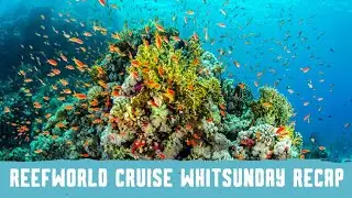 Reefworld Cruise Whitsundays!Great Barrier Reef Recap 🇦🇺 #reefworld #australia #greatbarrierreef
