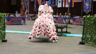 USDLDF National Dragon and Lion Dance Championships 2023 Austin Texas- mua lan 4K
