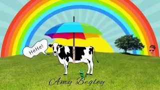 Amy Intro Animation