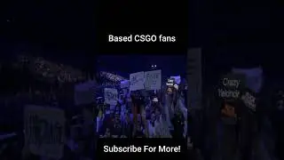 Based CSGO fans