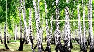 Кубань