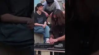 Boom bap vs DnB / live beatmaking / akai mpc live / finger drumming