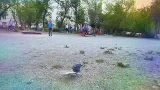 ДЕТИ ВОЛШЕБНЫЙ ДВОР -₽