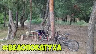 Покатуха | Коллекционер галстуков
