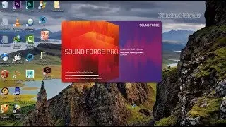 Sony Sound Forge Pro 12. RePack.