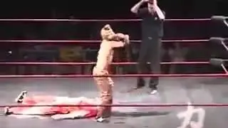Wrestler Lands DIRECTLY on his Head
