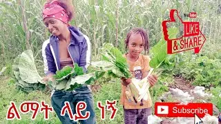 ኑ የአሮንጓዴ ልመት ውጤቱን እዩት