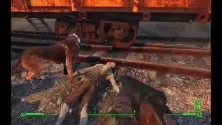 Fallout 4/Дикие гули