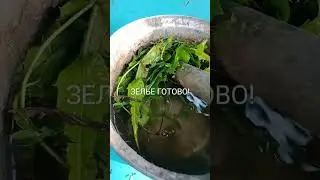#музыка #гномы #боже #тренд #существа #рыцари #юмор #мем #жиза #прикол