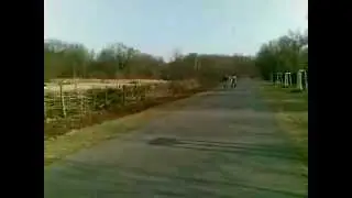 Tandem 2012