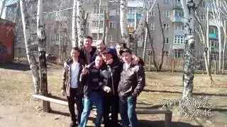 В березовой роще