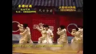 Chen Taijiquan. Master Díwénshèng