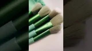 Make up Bursh