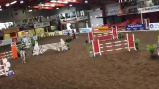 Jackie legs 1.25 Cavan hpi