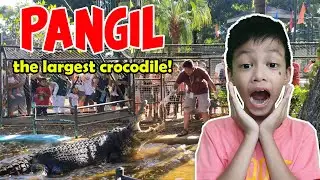 Exploring DAVAO CROCODILE 🐊 PARK AND ZOO FULL TOUR #davaocity #crocodile #zoo #pangil #tour #park