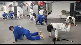 BJJ Gi Adults