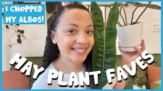 May Houseplants FAVES! | I chopped my albos... ✂️