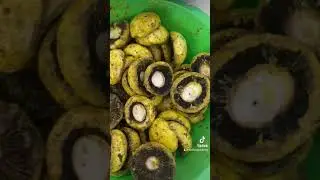 10 Şubat 2024