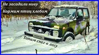 Едем на ниве в лес варить пельмени. Нивасик прёт как танк!!! Без ножа и топора в лесу. Топим снег.