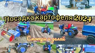 МОТОБЛОК МТЗ / ПОСАДКА КАРТОФЕЛЯ СВОИМИ РУКАМИ / 2024