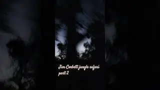 Jim Corbett jungle safari part 2 #music #bollywood #song #newsong #reels #trending #travel